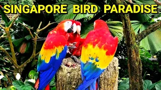 Bird Paradise Singapore