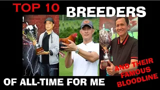 my top 10 breeders of all-time and their famous bloodline (re-upload)