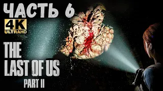 The Last of Us Part II (4K) (Одни из нас: Часть II Прохождение #6) - ОГРОМНЫЙ БОСС ТОПЛЯК