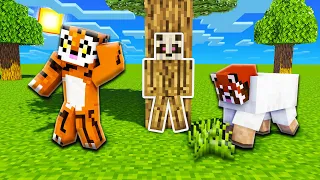 HIDE AND SEEK IN MINECRAFT *TOATE EPISOADELE