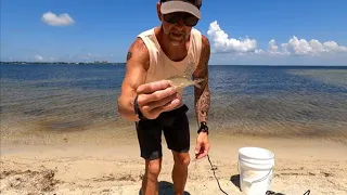 How to toss an 8 foot cast net from the beach