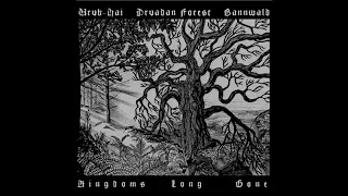 Bannwald / Uruk-Hai / Druadan Forest - Kingdoms Long Gone [Split] (2020) (Dungeon Synth, Ambient)