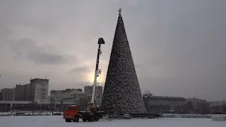 Пермские елки идут на рекорд