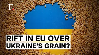 Poland, Slovakia & Hungary Ban Grain Imports from Ukraine