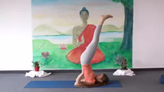 Beginner's Yoga Class (20 Minutes)