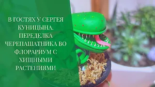 В гостях у Сергея Куницына. Переделка черепашатника под флорариум с хищными растениями. На пене.