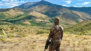 Nevada Archery Mule Deer (SURPRISE ENDING)