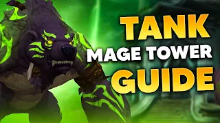 10.1.5 TANK MAGE TOWER GUIDE | Guardian Druid PoV