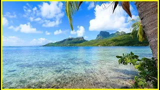 Ambience For Relaxation, French Polynesia: 3 Hours of Tropical Island