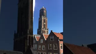 Trio of Avicii Songs Ring Out From Utrecht Church Bells in Tribute to DJ