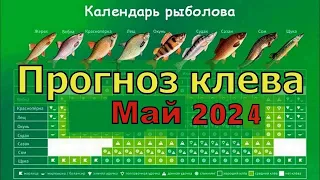 Прогноз клева рыбы на Май 2024/Календарь рыбака на май /Лунный календарь рыбака