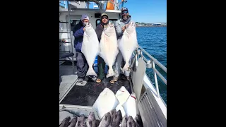 FINAL FISHING DAY IN KODIAK ISLAND, ALASKA - DAY 3 Mystery Fish Hooked. WHAT IS IT?