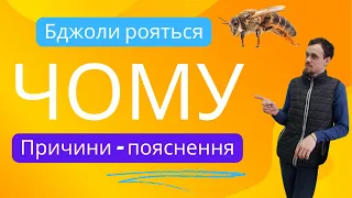 Бджоли рояться, погано чи добре? Все що потрібно знати про роїння, в цьому відео!