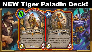 My NEW Tiger Paladin Is Breaking The Meta In WILD! Fractured in Alterac Valley | Hearthstone