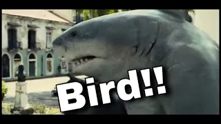 King Shark saying “bird” || The Sucide Squad