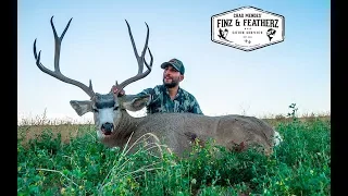 Chad Mendes Hunts Giant Mule Deer in Utah!!| Finz and Featherz & Traeger Outdoors