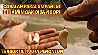 PARAH BANGET‼️UMPAN INI BISA NGABISIN SELURUH IKAN DI SUNGAI