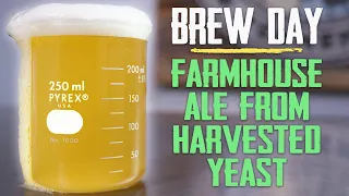 Brew Day - How To Make a Beer by Harvesting Yeast From an Old Batch - Wild Farmhouse Ale