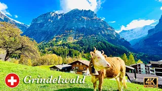 Grindelwald Valley , Switzerland | Autumn in Heavenly Beautiful Swiss Village