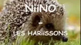 nino - les harissons