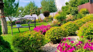 🌿Вырастить Красивый Сад Легко🌸Большой Обзор семян на 2024 год #обзорсемян #garden #сад
