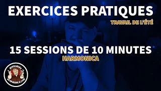 Pratique de l'harmonica - 15 sessions de travail pour l’été