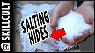 Salting Deer Hides for Tanning, + Drying & Freezing