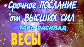 ВЕСЫ 🧚‍♂️🧚‍♂️🧚‍♂️ Срочное ПОСЛАНИЕ от ВЫСШИХ СИЛ Таро Расклад Angel Tarot Forecasts