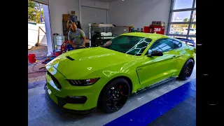 GT350 Mustang (Master Detailers)