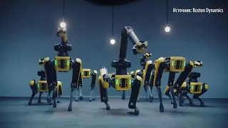 Роботы-собаки Boston Dynamics танцуют под музыку