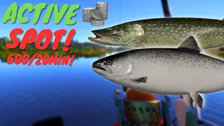 ACTIVE TROLLING SPOT IN VOLKHOV RIVER! 500/20MIN! | #766 Russian fishing 4