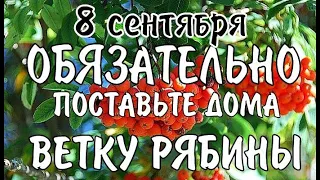 8 сентября День Адриана Осеннего и Натальи Овсяницы/Народный календарь/Народный праздник