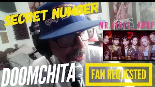 Returning Mr.Vibes_Kpop Channel Reacting to -SECRET NUMBER - DOOMCHITA MV ..FAN REQUESTED