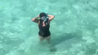 Shark attack 💋🦈in the Maldives