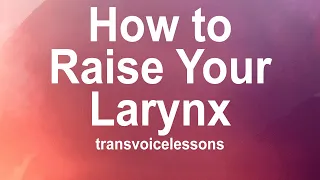 The Art of Voice Feminization | Part 2A: Larynx Basics, How to Raise the Larynx, and Common Issues