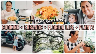 Casual Homemaking + Amish Style Recipe & Mennonite Mom Life in Florida