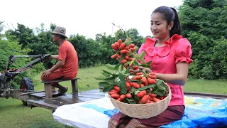 New Style Of My Cooking Video / Have You Ever Seen This Fruit At Your Place? / Countryside Life TV