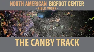 Canby Footprint Misidentification