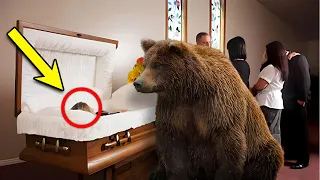 A Bear Makes a Jaw-Dropping Entrance at a Woman's Funeral. His Reason Will Make You Cry!