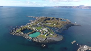 Scotland's Easdale Island, Nature and Wildlife