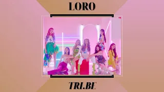 TRI.BE(트라이비) 'LORO(로로)' [1 HOUR LOOP]