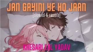 Khesari Lal Yadav - Jan Gayini Ye Ho Jaan(Slowed & Reverb) | SUPER HIT SONG