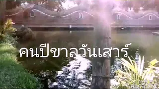 คนปีขาลวันเสาร์