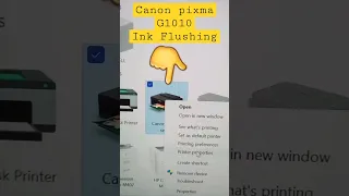 how to ink flush canon pixma G1010 printer