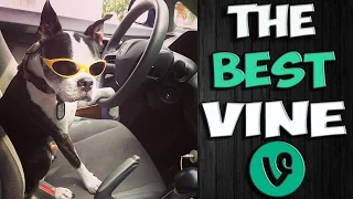 ✔ The Best Vine 2015 Part 22 Vine Compilation - Самые Лучшие Vine Приколы (22 ВЫПУСК)