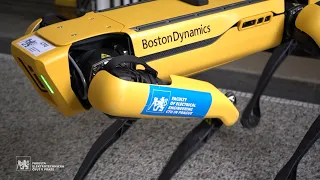 Čtyřnohý SPOT od Boston Dynamics dorazil na FEL ČVUT