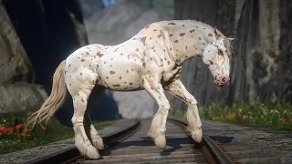 Em busca do APPALOOSA de pintas MARRONS - Red Dead Redemption 2