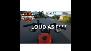 The Sound of Harley Davidson Sportster Iron 883 + V&H full Exhaust 💥💥