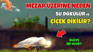 Peygamberimiz Buyurdu! Mezar Üzerine Su Dökünce ve Çiçek Dikince Ölüye Ne Olur? Sübhanallah!