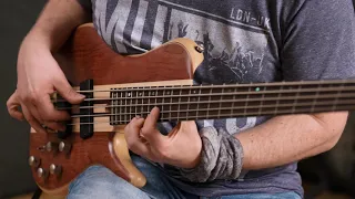 Cort Artisan A5 Beyond Singlecut Bass